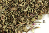Oregano (Greek), c/s image