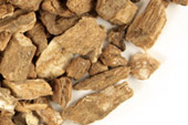 Burdock root, c/s image