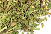Feverfew herb, c/s image