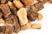 Wild cherry bark, c/s image