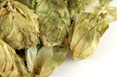 Hops, whole image