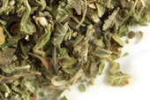 Damiana leaf, c/s image