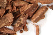 Bayberry root bark, c/s, wild crafted image