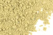 Wormwood herb, powder, wild crafted image