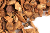 Cramp bark, c/s, wild crafted image