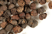 Schisandra berry, whole image