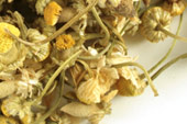product photo of Chamomile (Egyptian), whole