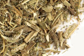 Blessed thistle, c/s image