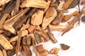Sarsaparilla root (Mexican), c/s image