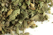 Oregano (Mexican), c/s image