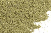 Skullcap herb, powder image