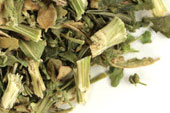 Epazote herb, c/s image