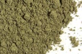 Peppermint leaf, powder image