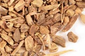 Yellow dock root, c/s image