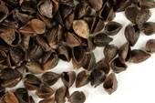 Buckwheat hulls image