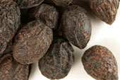 Saw palmetto berry, whole image