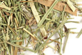 Horsetail (Shavegrass), c/s Organic image
