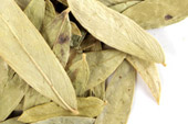 Senna leaf, whole, organic image