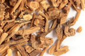 Gentian root, c/s, wild crafted image