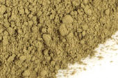 Horsetail (Shavegrass), powder, wild crafted image