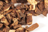 Dandelion root, c/s image