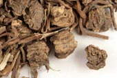 Valerian root, c/s Organic image