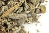 Sage, whole image