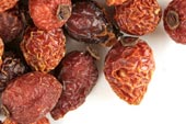 Rose hips, whole image