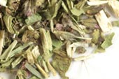 Wood betony herb, c/s, wild crafted image