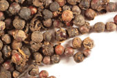 Cubeb berry, whole image