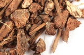 White oak bark, c/s, wild crafted image