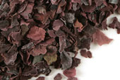 Dulse leaf, c/s image