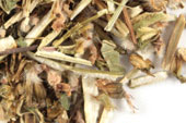 Motherwort herb, c/s, wild crafted image