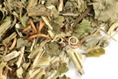Passion flower herb, c/s image