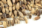 Milk thistle seed, whole Organic image