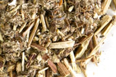 Mugwort herb, c/s image
