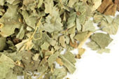 Lady's mantle herb, c/s, wild crafted image