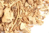 Pleurisy root, c/s image