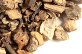 Black cohosh root, c/s, wild crafted image