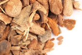 Birch bark, c/s image