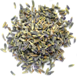 Lavender Flower (ultra), strong blue color