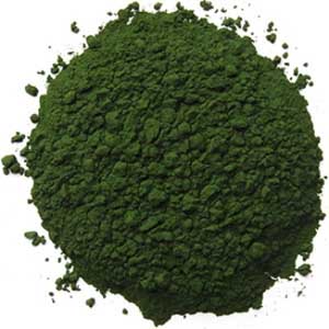 Chlorella, powder