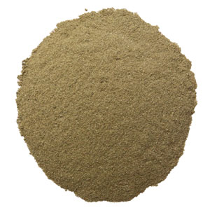 Echinacea Purpurea Tops, powder