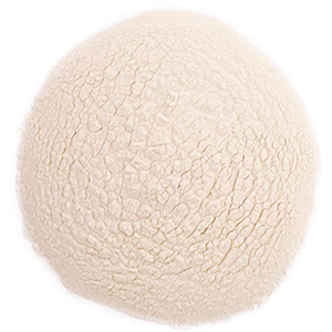 Pineapple Juice, powder