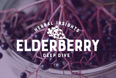Herbal Insights Deep Dive