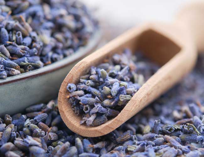 Herbs for Skincare & Beauty Industry herbal samples