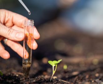 soil test